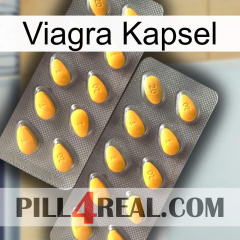 Viagra Capsule cialis2